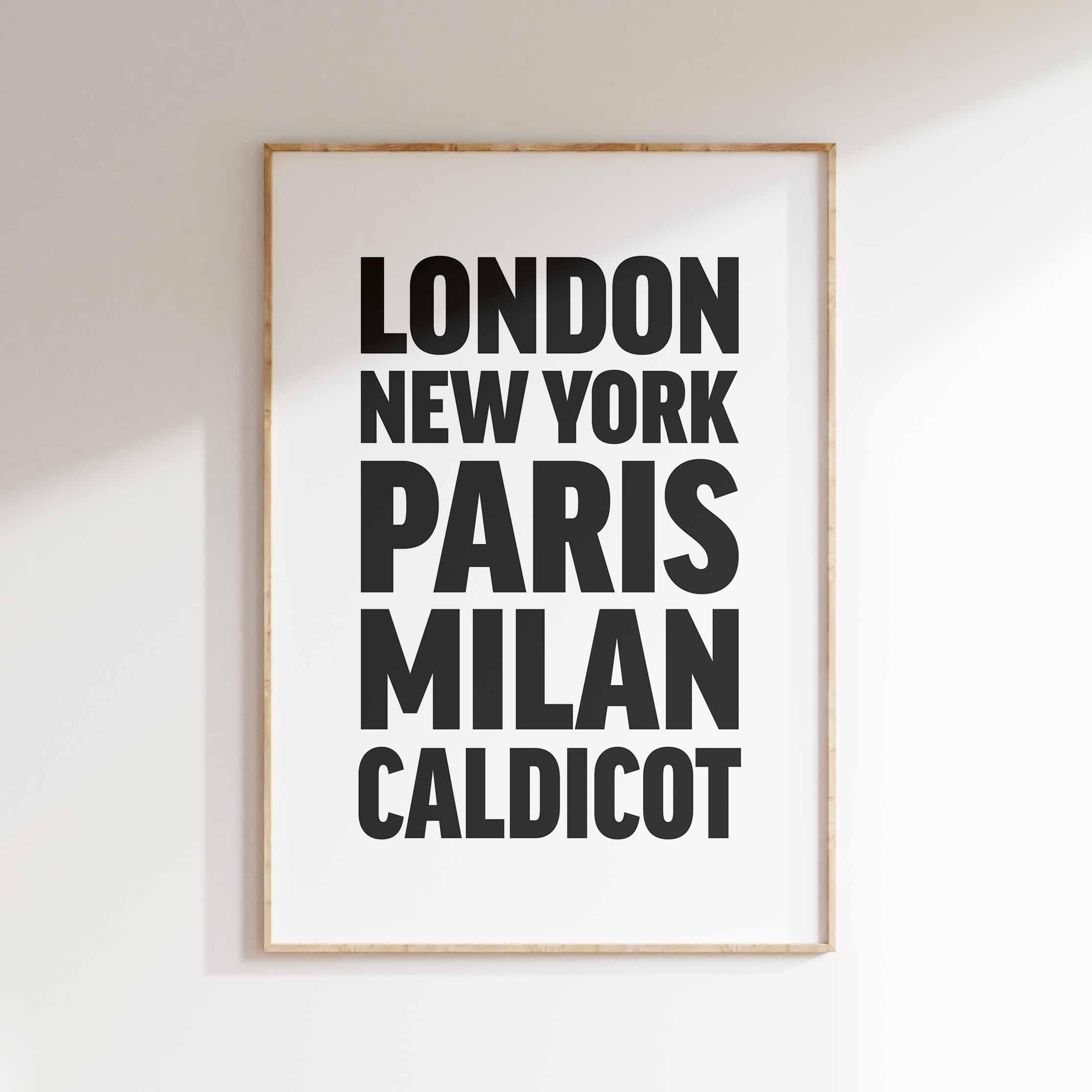 CALDICOT poster